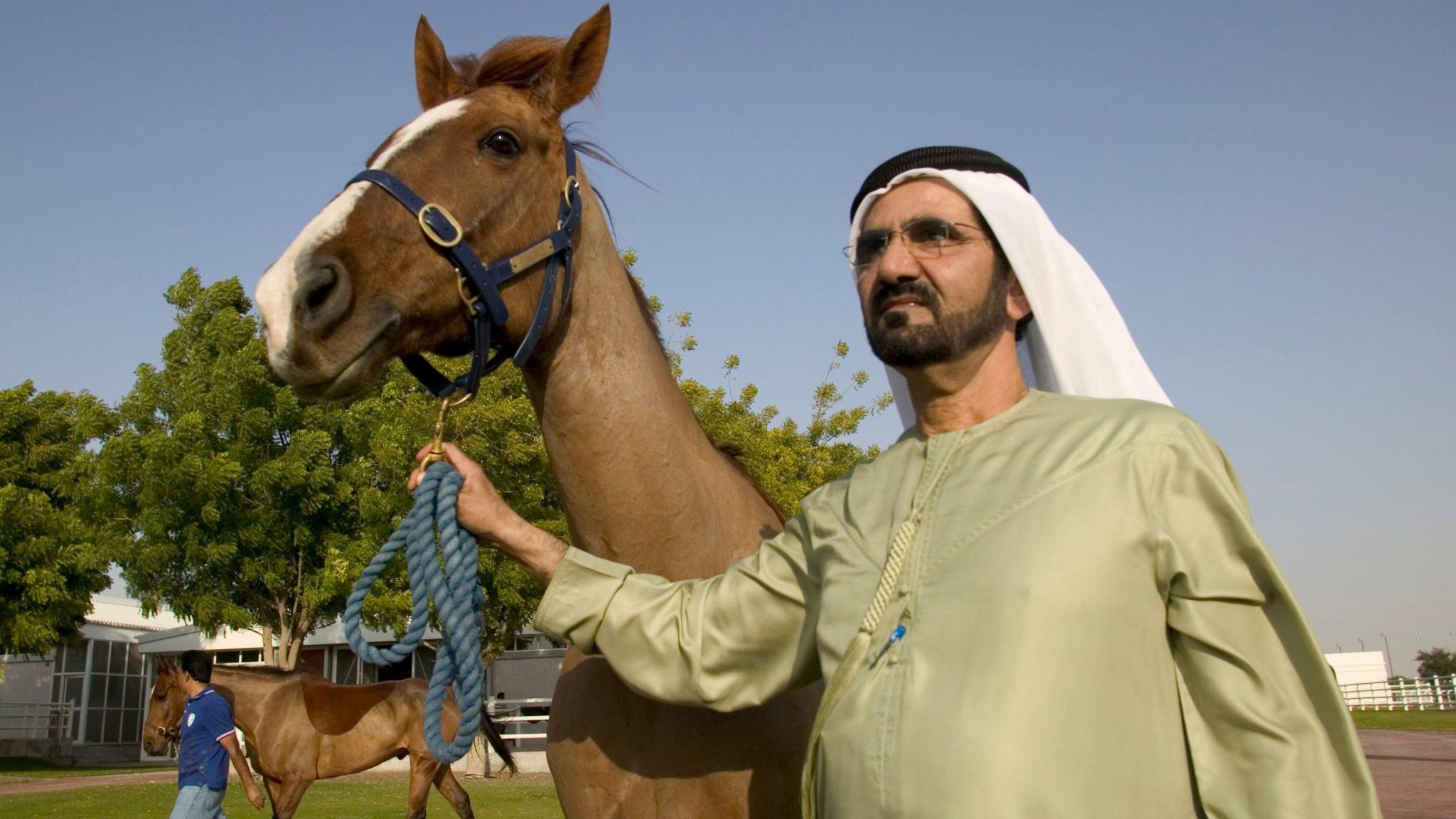 Horseracing body urged to review sheikh’s status