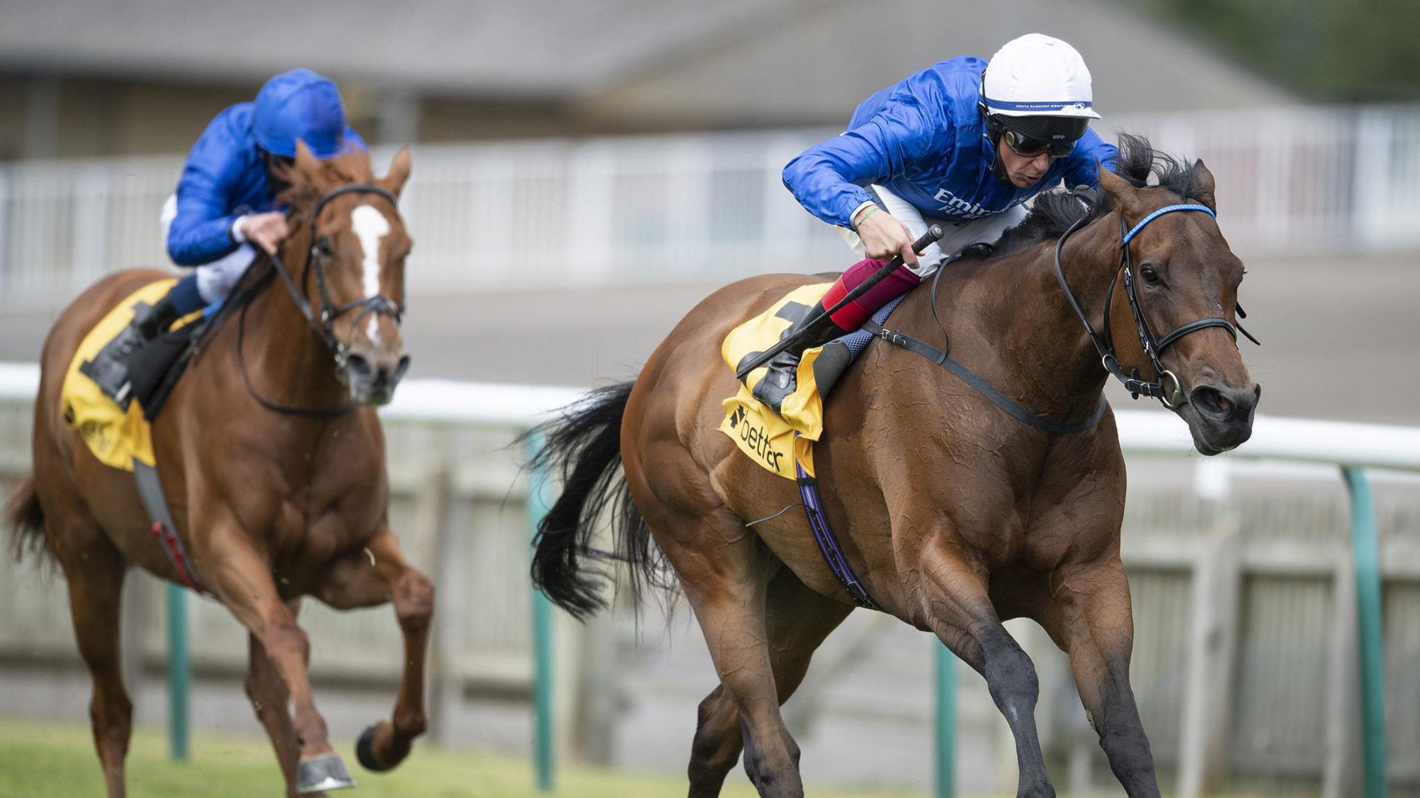 Princess Haya and her latest divorce battle — over racehorses